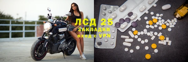 гидра Каменногорск