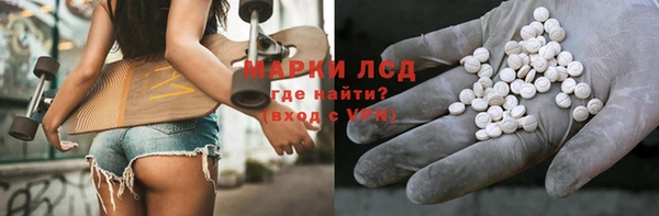 гидра Каменногорск