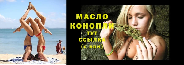 гидра Каменногорск