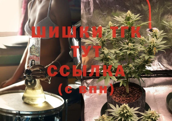 твердый Инсар