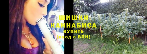 гидра Каменногорск