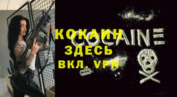 твердый Инсар