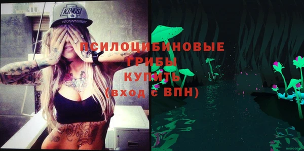 ешки Каменка
