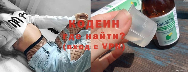 гидра Каменногорск